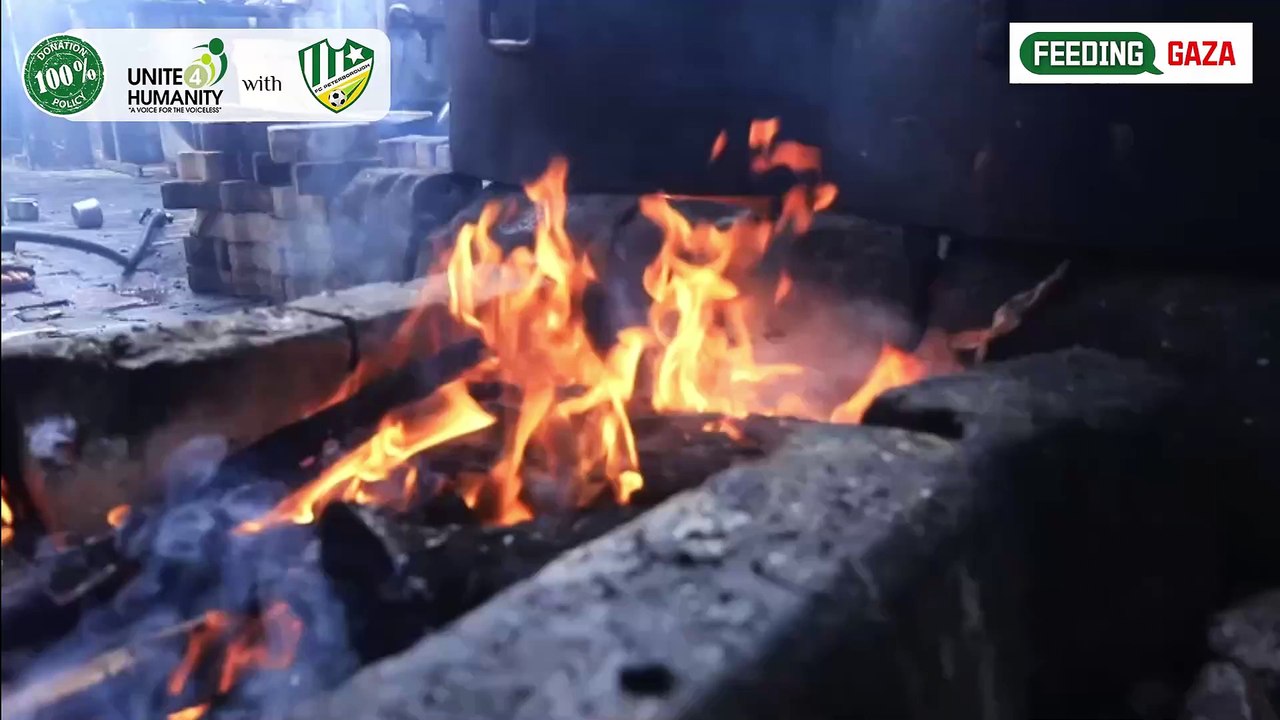 Feeding Gaza with Your Donations