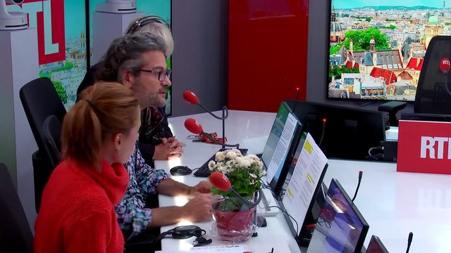 Chrysanthème : 4 millions de familles devraient en acheter