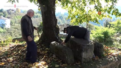 Roma dönemine ait olduğunu bilmeden, binlerce yıllık tarihin üzerinde oturdular