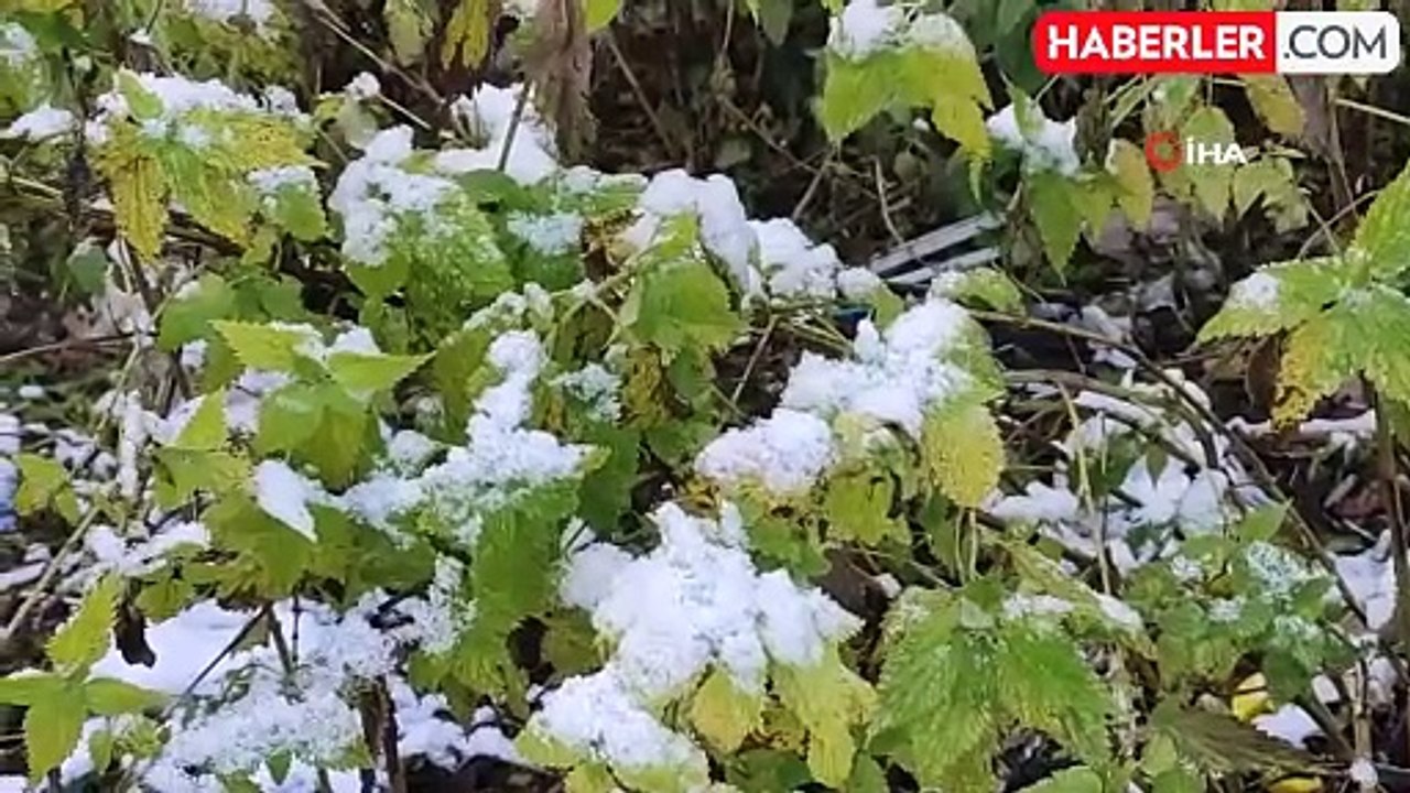 Ardahan'da Soğuk Hava Etkisini Gösterdi: Kırağı ve Buzlanma Oluştu