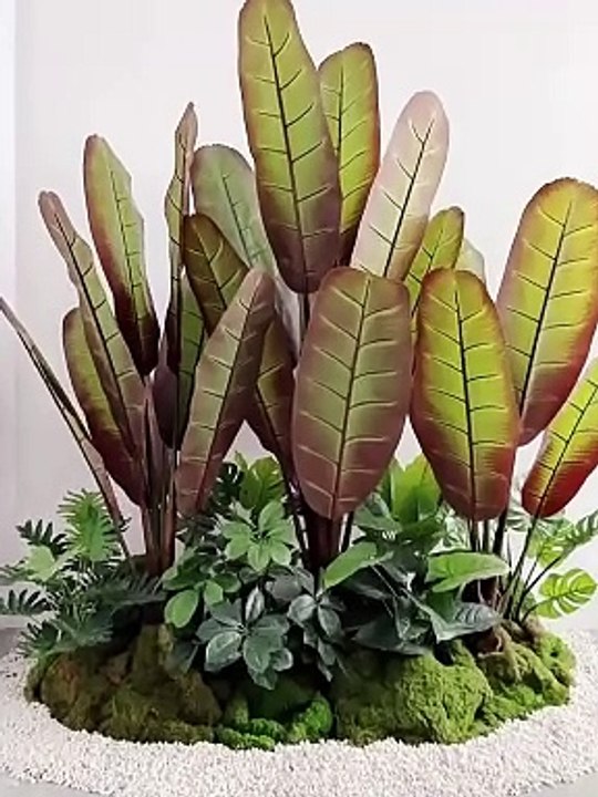 Thanh lý cây chuối chân voi giả đẹp hơn thật, bảo hành lâu dài, đủ kích thước, giá khuyến mãi, chất lượng đảm bảo | Mua ngay