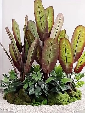 Thanh lý cây chuối chân voi giả đẹp hơn thật, bảo hành lâu dài, đủ kích thước, giá khuyến mãi, chất lượng đảm bảo | Mua ngay