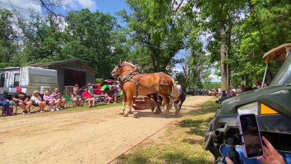 bitely horse pulls 2024