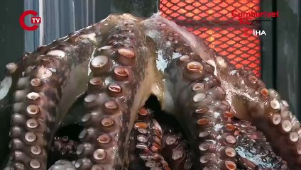 Döneriyle meşhur Ankara’da yeni lezzet: Ahtapot döner