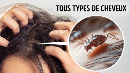 80 mythes sur ce monde démystifiés