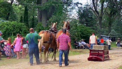 bitely horse pulls 2024 part 2