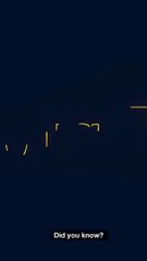 Fun Ways to Stay Fit Without a Gym