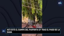 Así está el campo del Paiporta CF tras el paso de la DANA