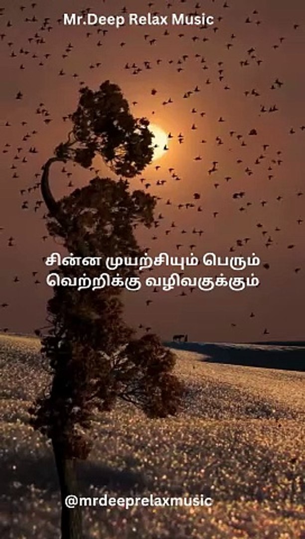 Study, Calming Music Relaxing Music , Stress Relief Music, Sleep Music,
