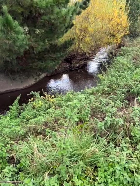 Kettering Slade Brook - pollution