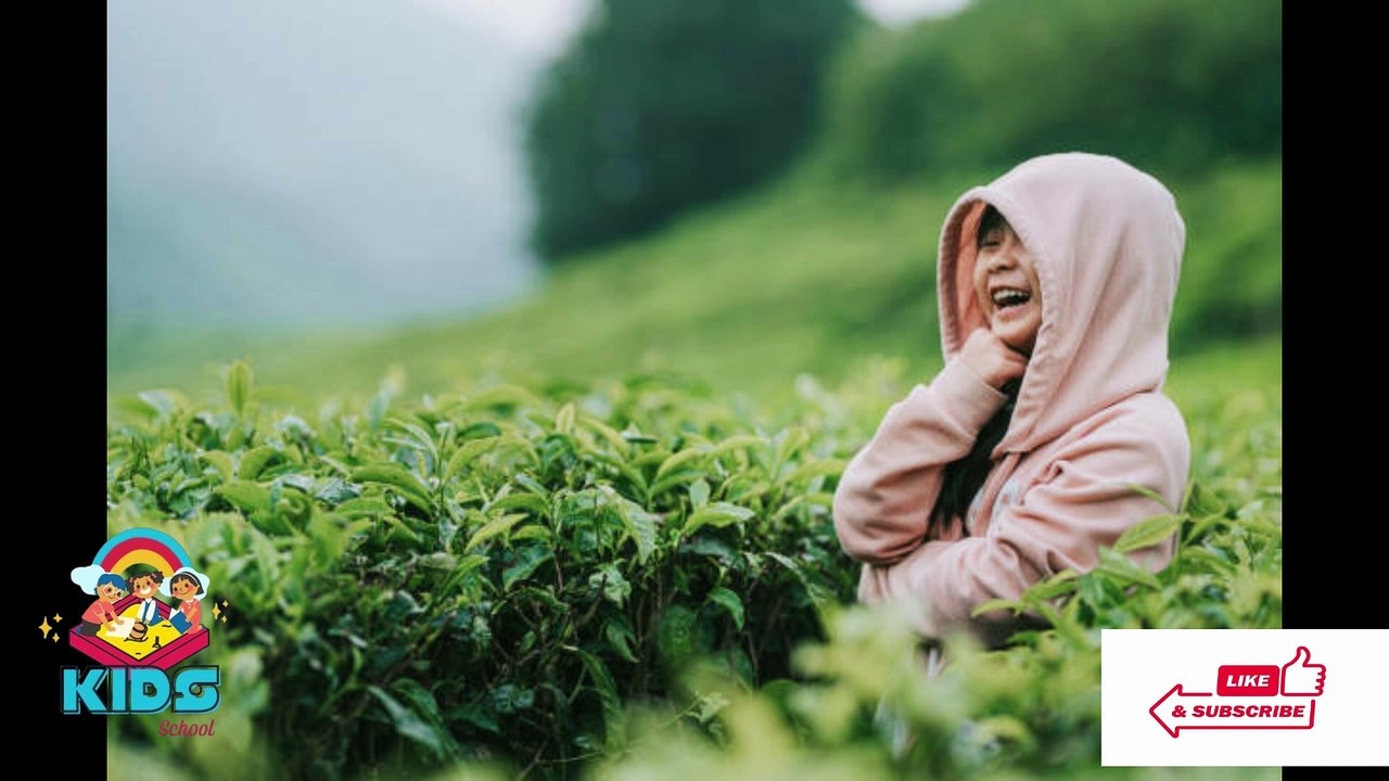 The Land of Laughter Poem for Kids