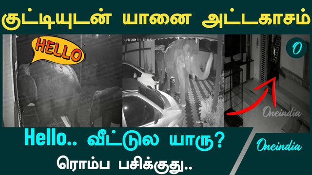 Kovai மருதமலை பகுதியில் உணவு தேடி வீட்டின் கதவை உடைத்த யானைகள் | Oneindia Tamil