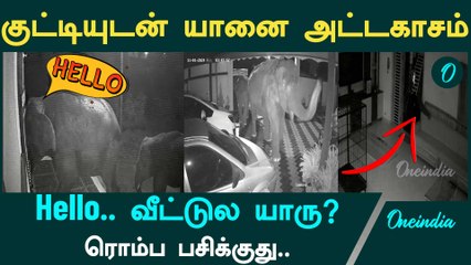 Kovai மருதமலை பகுதியில் உணவு தேடி வீட்டின் கதவை உடைத்த யானைகள் | Oneindia Tamil