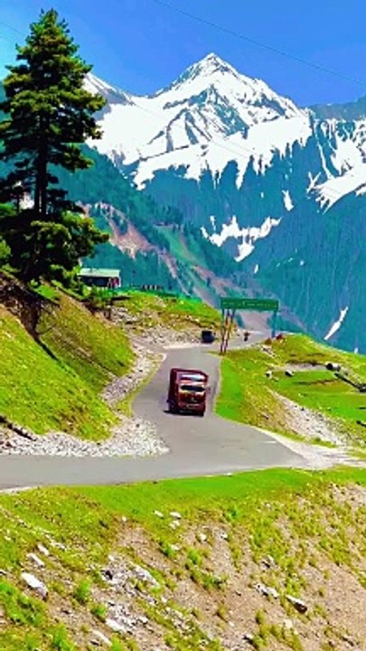 Beauty of nature| Beauty of nature | Beauty of nature | beauty of nature | kashmir | the golden bird