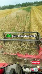 7 Quy Tắc Nhân Tính Bí Quyết Đối Nhân Xử Thế Để Thành Công Trong Mọi Mối Quan Hệ