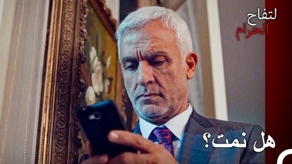 عقل حالي في يلدز - التفاح الحرام الحلقة ال 4 (Arabic Dubbed)