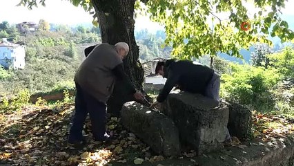 Yıllardır üzerinde oturuyorlardı... Tam 1.800 yıllık çıktı