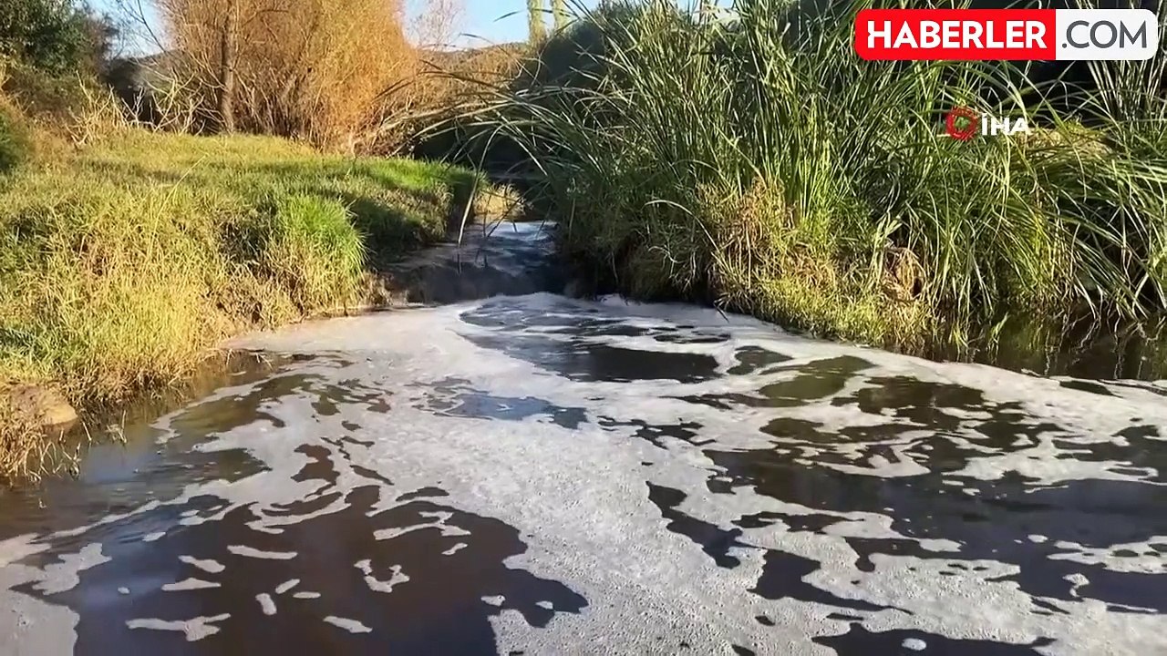 Uşak OSB Atıkları Gediz Nehri'nde Kirliliğe ve Balık Ölümlerine Neden Oluyor