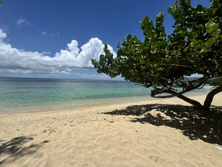 Travel: Why chef Joachim Jammeal is cooking up a vegan storm in Grenada