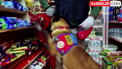 Sakarya'da Jandarmadan Kaçakçılık ve Uyuşturucu Operasyonu: 2 Gözaltı