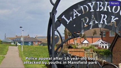 Mansfield and Ashfield Chad Morning Update 1 November, 2024