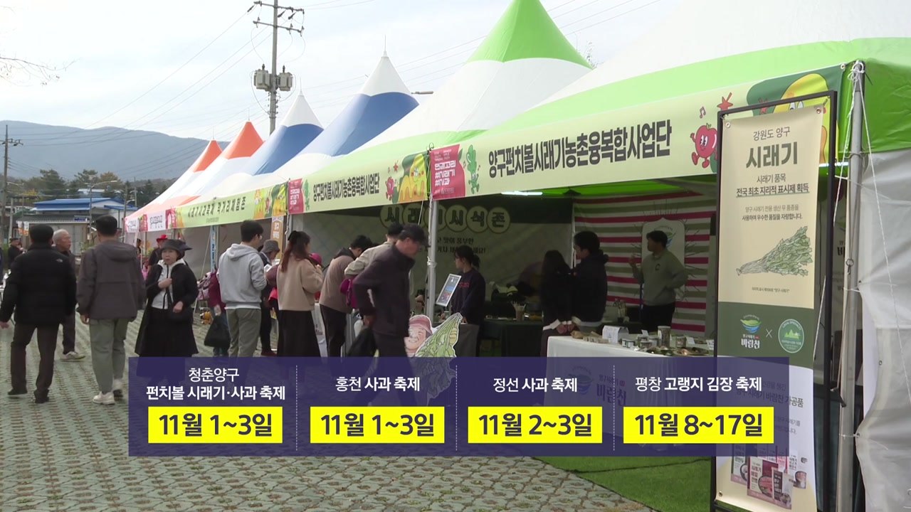 [네트워크] 강원 '펀치볼 시래기·사과 축제' 잇따라 개막 / YTN