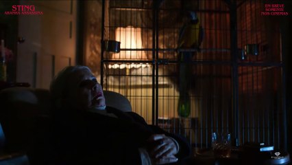 STING - Aranha Assassina | Trailer Dublado 🚨