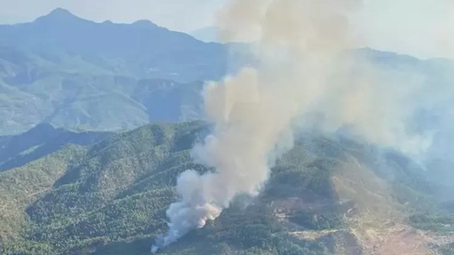Muğla'nın Köyceğiz ilçesinde orman yangını
