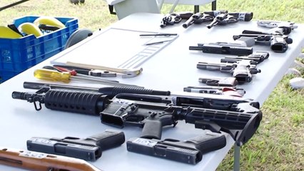 tn7-uso-portacion-y-comercializacion-tendran-penas-de-20-años-de-carcel-011124