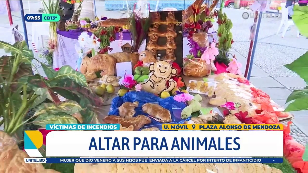 Emotivo altar en honor a los animalitos que fallecieron en los incendios