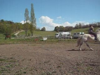 Izou rènes longues 3