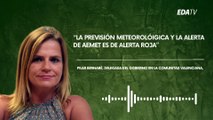 Declaraciones de la delegada del Gobierno sobre la DANA