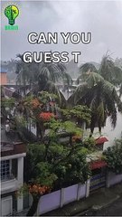 Can you guess the answer just in 5 seconds