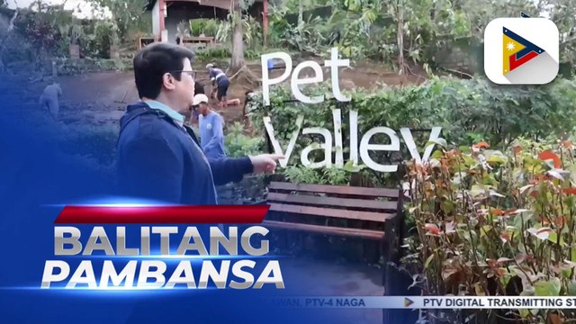 Pet cemetery provides a respectful final resting place for pets