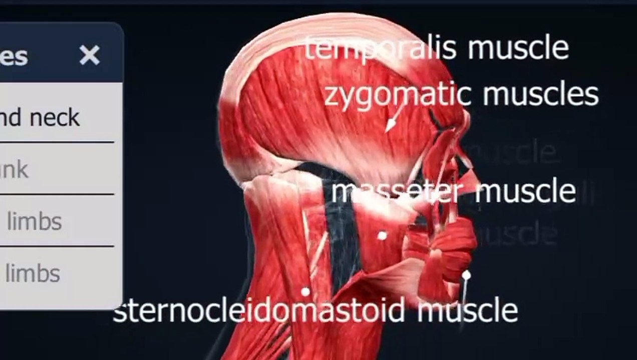 The meaning of the parts of the brain is explained in this video.