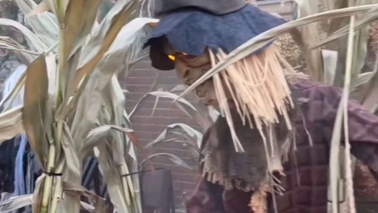 Halloween house decoration sends chills down the spine with its scary vibe