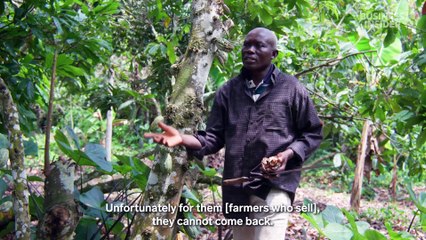 Why your chocolate bar is more expensive this year