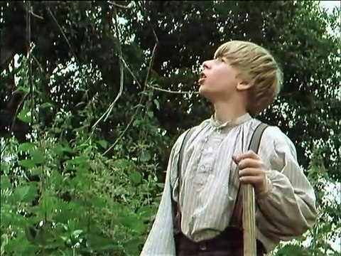 Tom Sawyer und Huckleberry Finn E09-Die Schatzsucher