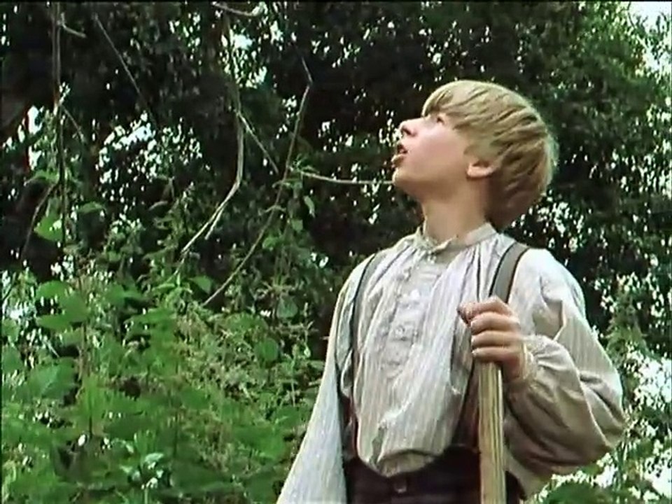 Tom Sawyer und Huckleberry Finn E09-Die Schatzsucher