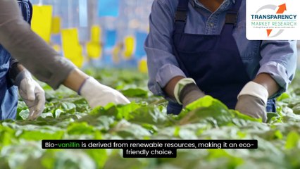 Bio Vanillin Market Analysis: Key Drivers and Challenges