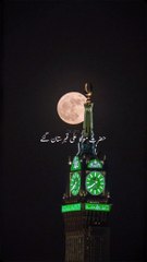 Beautiful Islamic video #islamicquotes #islamics