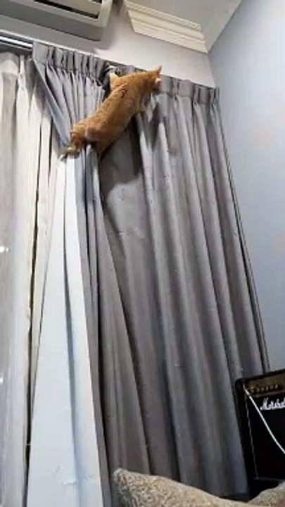 He looks so innocent, it almost seems as he didnt do it