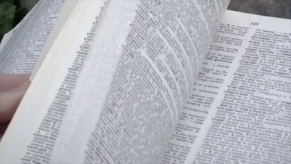 'Brat' is the word of the year - but do people across Kent know what it means?