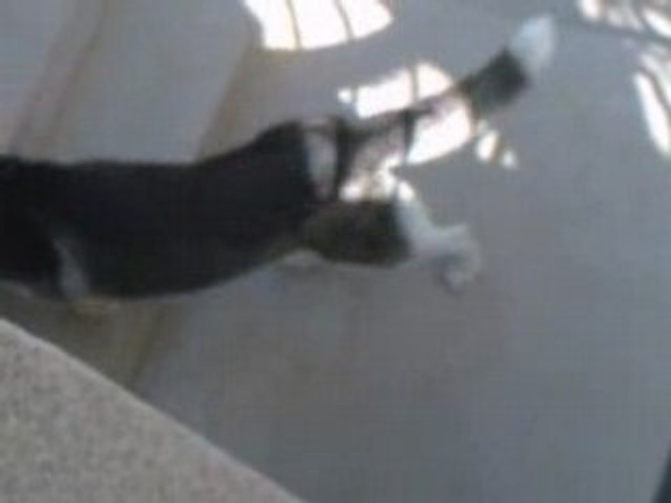 CLIP0004