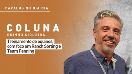 Cavalus no Dia Dia: treinamento de equinos, com foco em Ranch Sorting e Team Penning