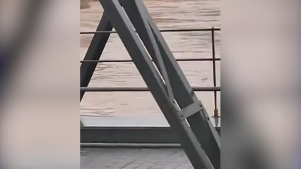 Un caballo arrastrado por la corriente se salva de la muerte por las indicaciones de las personas