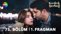 Kızılcık Şerbeti 75. Bölüm 1. Fragman | 