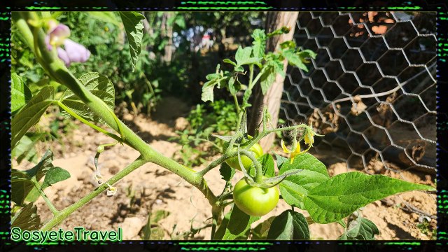 Gezi Seyahat Makaleleri