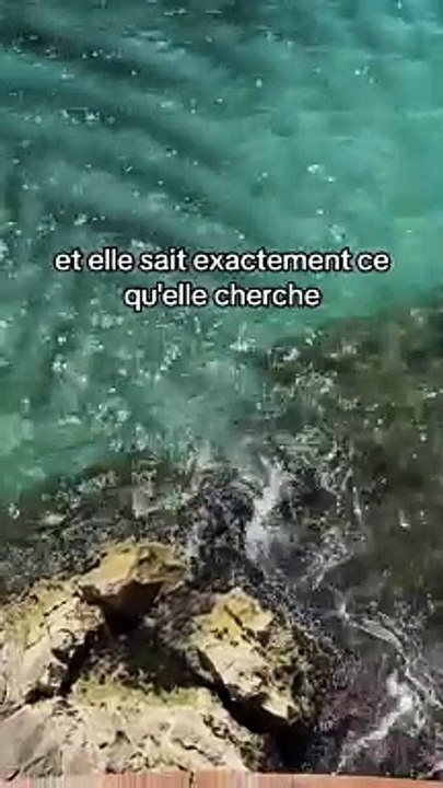 La femme la plus dangereuse et la femme la plus incroyable