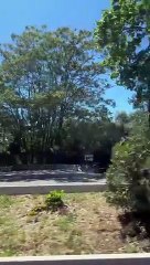 Tous les apprentissages qu'on a dans notre vie viennent de la douleur